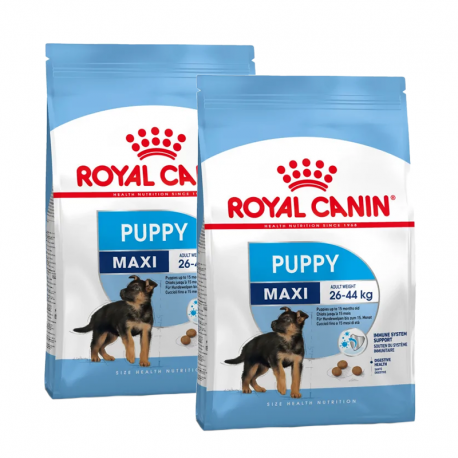 Royal Canin-Croquettes Maxi Junior Chiots Grandes Races (1)
