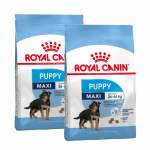 Royal Canin-Croquettes Maxi Junior Chiots Grandes Races (1)