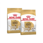 Royal Canin-Croquettes pour Labrador Retriever Adulte (1)