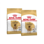 Royal Canin-Dogue Allemand Adulte (1)
