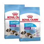 Royal Canin-Giant Starter Gestation/Allaitement (1)