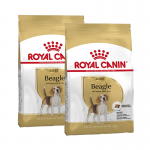 Royal Canin-Beagle Adulte (1)