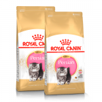 Royal Canin-Persan Chaton (1)