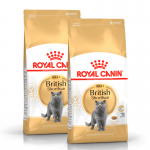 Royal Canin-British Shorthair Adulte (1)
