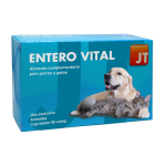 JTPharma-Entero Vital pour Chien et Chat (1)