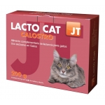 JTPharma-Lacto Cat pour Chat (1)