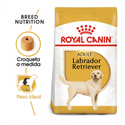 Royal Canin-Croquettes pour Labrador Retriever Adulte (1)