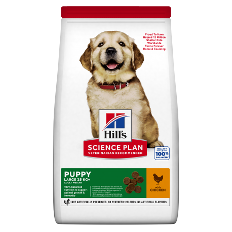 SP Puppy Races Grandes avec Poulet (1)