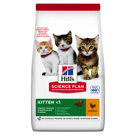 Hills-SP Feline Kitten avec Poulet (1)