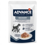 Advance Veterinary Diets Recovery Comida Húmeda para Perros y Gatos