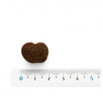 Moments-Snacks Fruit pour Chien (1)