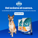 Farmina ND Dog Ocean Saumon et Cabillaud boîtes humides pour chiens 6x285grs
