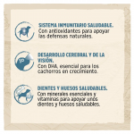 Purina Dog Chow Puppy Pienso para Cachorros con Pollo