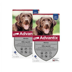 Advantix pack 2 unités (8 pipettes) pour chiens taille grande (+25kg)