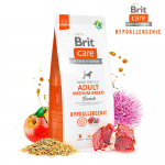 Brit care adult medium breed cordero arroz pienso para perros