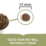 Acana-Yorkshire Pork pour chien (1)