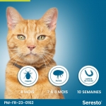 Bayer-Serestro Collier Antiparasitaire Chat (1)