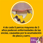 Multipack Dentastix Fresh Pequeño Snack Dental Para Perro