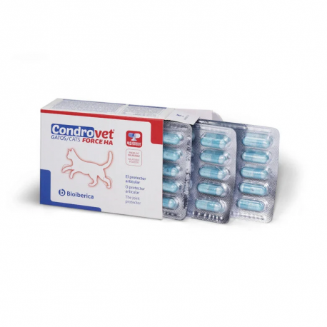Chondroprotecteur Cosequin Chat (6)