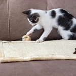 Juguete Gato Carpet Cat Scraper Ferplast