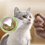 Pack Dentalife de snacks dentales para gatos de salmón
