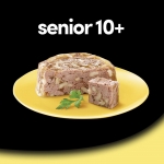 Cesar Senior 10 + Comida Húmeda Para Perros Mayores en Paté con Pollo