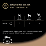 Cesar Junior Comida Húmeda Para Cachorros en Gelatina con Pavo y Ternera