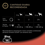 Cesar Recetas de la Huerta Comida Húmeda Para Perros en Gelatina con Buey y Verduras