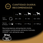 Cesar Multipack Recetas De la Huerta Comida Húmeda Para Perros en Paté y Gelatina