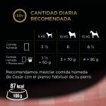 Cesar Multipack Selección en Salsa Comida Húmeda Para Perros con Buey y Pollo