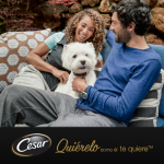 Cesar Multipack Selección en Gelatina Comida Húmeda Para Perros con Pollo y Buey
