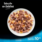 Cesar Multipack Senior 10+ Selección en Gelatina Comida Húmeda Para Perros Mayores