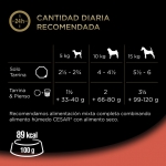 Cesar Clásicos Comida Húmeda Para Perros en Paté con Buey