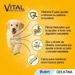 Pedigree Junior Multipack de Comida Húmeda para Cachorros en Gelatina