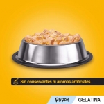 Pedigree Junior Multipack de Comida Húmeda para Cachorros en Gelatina