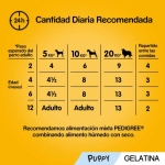 Pedigree Junior Multipack de Comida Húmeda para Cachorros en Gelatina