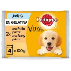 Pedigree Junior Multipack de Comida Húmeda para Cachorros en Gelatina