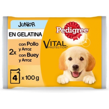 Pedigree Junior Multipack de Comida Húmeda para Cachorros en Gelatina