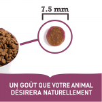 ACANA First Feast pour chaton
