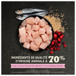 ACANA First Feast pour chaton
