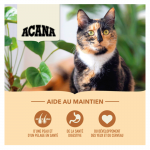 Acana feline Homestead Harvest pour chat