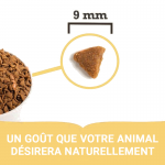 Acana feline Homestead Harvest pour chat