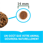 Acana feline Bountiful Catch pour chat