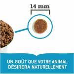Acana-pacifica au poisson chat (1)