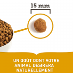 Acana-Croquettes Chiots Grandes Races (1)