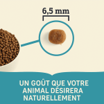 Acana Puppy Small Breed Nourriture pour chiots de petites races au poulet