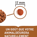 Acana-Croquettes Chien Adulte Grandes Races (1)