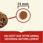 Acana-Sport et Agilité Riche en Protéines (1)