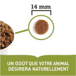 Grasslands à l'Agneau pour chien
