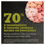 Grasslands à l'Agneau pour chien